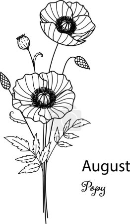 Illustration for Birth month flower of August is Popy flower for printing engraving, laser cut, coloring and so on. Vecter illustration. - Royalty Free Image