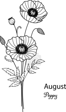 Illustration for August Birth month flower of August is Poppy flower for printing engraving, laser cut, coloring and so on. Vecter illustration. - Royalty Free Image