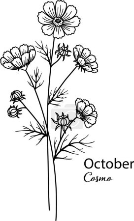 Téléchargez les illustrations : Mois de naissance fleur d'Octobre est fleur Cosmo pour l'impression gravure, découpe laser, coloration et ainsi de suite. Illustration vectorielle. - en licence libre de droit