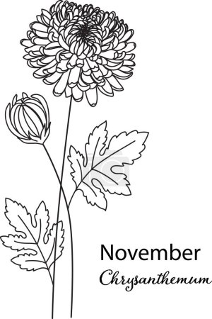 Illustration for Birth month flower of November is Chrysanthemum flower for printing engraving, laser cut, coloring and so on. Vecter illustration. - Royalty Free Image
