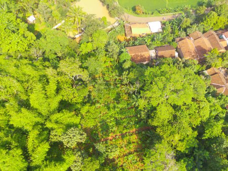 Bird eye view of tropical forest on the edge of the city, forest that functions as a water catchment in the city of Bandung, West Java Indonesia, Asia. Natural Landscape. Top view. Aerial Shot
