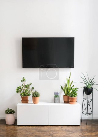 Photo for Houseplants in ceramic pots on white sideboard and black tv screen hanging on wall in stylish room in apartment with modern interior, home decoration - Royalty Free Image