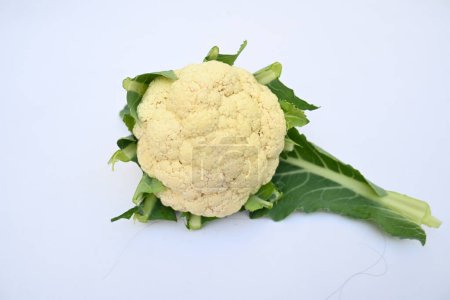 Cauliflower on white background. It is one of several vegetables in the species in the genus Brassica, which is in the Brassicaceae family. Its other names Brassica oleracea, Brussels sprouts and cole.