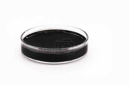 Téléchargez les photos : Petri dish with petroleum, fuel oil, isolated white background - en image libre de droit
