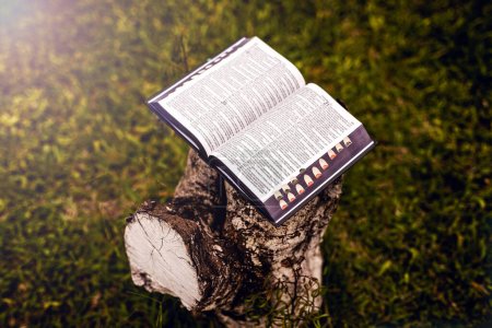 Foto de Holy bible on rustic wooden oratory in the middle of nature, concept of faith, bible study and prayer, meditation. symbol of christian religion, easter or faith - Imagen libre de derechos