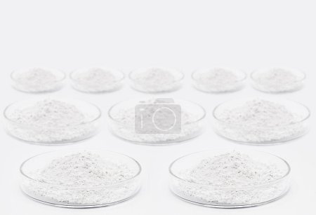 Photo for Petri dishes with various chemicals, phosphate, zinc, polycyanate, resveratrol, cellulose, betulin and other pharmaceuticals, on isolated white background - Royalty Free Image
