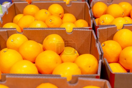Lots of fresh ripe oranges in boxes. Trade, supermarket, business