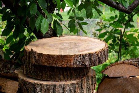 Foto de Firewood chopped into rings under cherry branches. A podium for products. Preparation for the winter. Natural resources. Advertise your product - Imagen libre de derechos