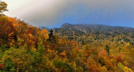 Photo for Colorful Calloway Peak in Mist - Royalty Free Image