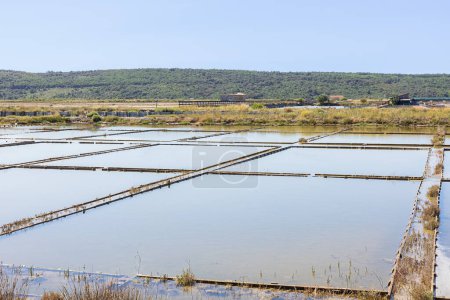 Blick auf die Salinen in Sicciole, einem Feuchtgebiet und Brutplatz für Wasservögel