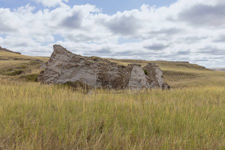 Photo for View of a fossil rock along the Daemonelix Trail in the Agate Fossil Beds National Monument - Royalty Free Image