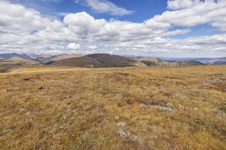 Photo for Rugged landscape around the Tundra Communities Trail, a beautiful example of the alpine tundra ecosystem in the Rocky Mountains - Royalty Free Image