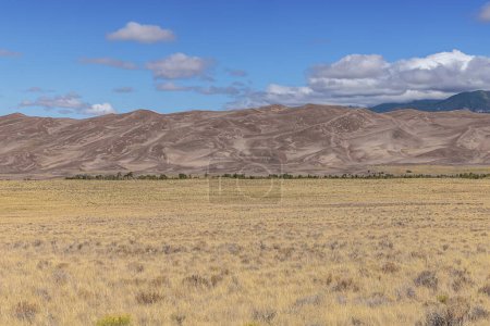 Photo for View of the Great Sand Dunes seen from the access road - Royalty Free Image