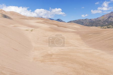 Photo for High sand dunes and the Rocky Mountains in  the Great Sand Dunes National Park - Royalty Free Image