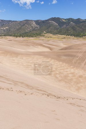 Photo for View from the Sand Dunes to Medano Creek in  the Great Sand Dunes National Park with the Rocky Mountains in the background - Royalty Free Image
