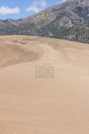 Photo for On the top of a high sand dune in  the Great Sand Dunes National Park with the Rocky Mountains in the background - Royalty Free Image