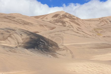 Photo for In the middle of high sand dunes in  the Great Sand Dunes National Park in the vicinity of Medano Creek - Royalty Free Image