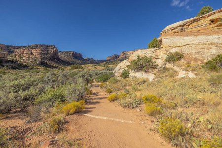 The trail to Devil's Kitchen in the Colorado National Monument