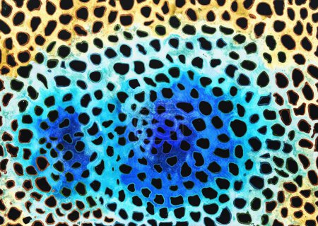 Téléchargez les photos : Modèle léopard et tigre abstraction colorée. La technique de tamponnage près des bords donne un effet de mise au point doux en raison de la rugosité de surface modifiée du papier. - en image libre de droit