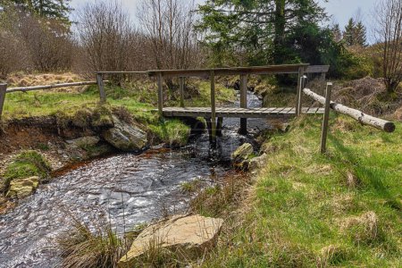 Kleine Brücke über den Getzbach, ein Flüsschen zur Entwässerung des Hohen Venns