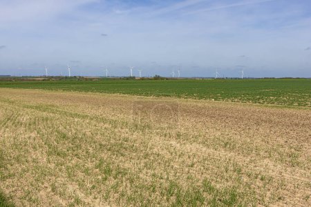 Felder, die darauf warten, bestellt zu werden, in der Nähe von Lüttich mit Windmühlen im Hintergrund
