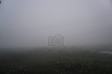 Téléchargez les photos : Les conditions de sciure humidifiée dans la matinée. sentier de brouillard dans le village matin brouillard. - en image libre de droit