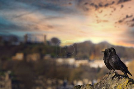 Photo for Captivate your senses with this romantic photograph featuring a couples crown set against the backdrop of Edinburgh iconic Calton Hill. The photograph encapsulates the essence of love and unity - Royalty Free Image