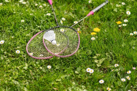Photo for Two badminton rackets and a shuttlecock lie on the green grass. Outdoor recreation and fresh air. The suns rays. Lawn for playing badminton. - Royalty Free Image