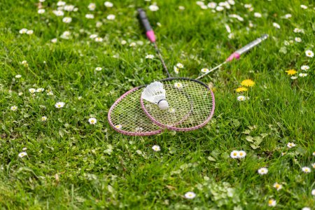 Photo for Two badminton rackets and a shuttlecock lie on the green grass. Outdoor recreation and fresh air. The suns rays. Lawn for playing badminton. - Royalty Free Image