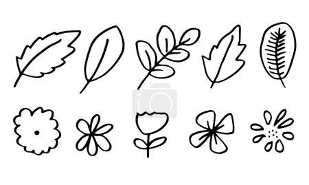 Illustration for A collection of hand-drawn flower images such as bellflower, chrysanthemums, sunflowers, cotton flowers, and tropical leaves - Royalty Free Image