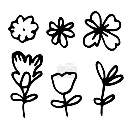 Illustration for A collection of hand-drawn flower images such as bell flower, chrysanthemums, sunflowers, cotton flowers, and tropical leaves - Royalty Free Image
