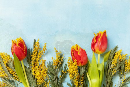 Foto de Tulipanes florecientes, mimosa sobre fondo azul. Concepto de primavera, composición de flores. Tarjeta de felicitación. Vista desde arriba. Copiar espacio. - Imagen libre de derechos