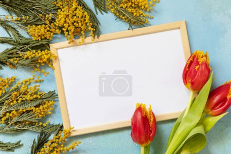 Foto de Tulipanes florecientes, mimosa con marco de foto sobre fondo azul. Concepto de primavera, composición de flores. Tarjeta de felicitación. Vista desde arriba. Copiar espacio. - Imagen libre de derechos