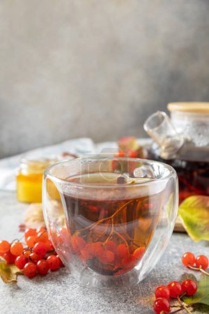 Foto de Té de otoño, bebida frutal de temporada. Viburnum y una taza de té viburnum saludable con miel en una mesa de piedra. Copiar espacio. - Imagen libre de derechos