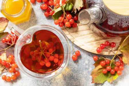 Téléchargez les photos : Viburnum et tasse de thé viburnum sain avec du miel sur une table en pierre. Thé d'automne, boisson fruitée de saison. - en image libre de droit