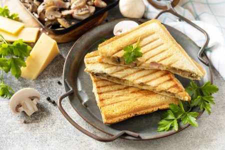 Téléchargez les photos : Délicieux club sandwich, fromage grillé maison, bacon et sandwich aux champignons pour le petit déjeuner sur une table en pierre. - en image libre de droit