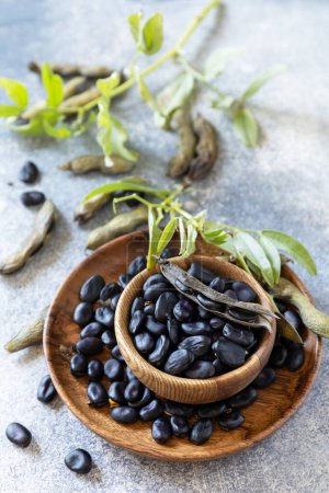 Photo for Organic food.  The concept of vegan or diet food. Fresh ripe black soy beans on a stone background. - Royalty Free Image