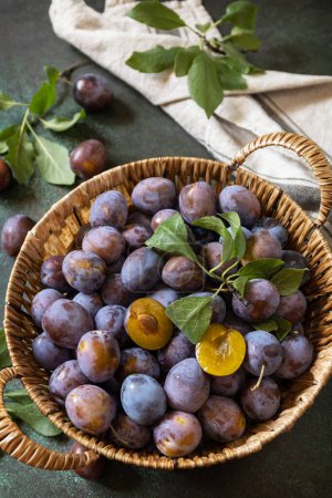 Photo for Fruit background, organic fruits. Still life food. Basket of fresh blue plums on a stone table. - Royalty Free Image