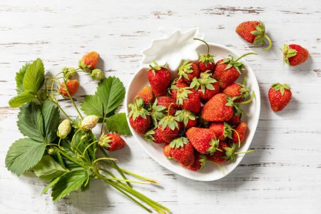 Photo for Bowl of ripe freshly picked red strawberries on a white rustic table. Harvest background. Organic farmer's market. View from above. - Royalty Free Image