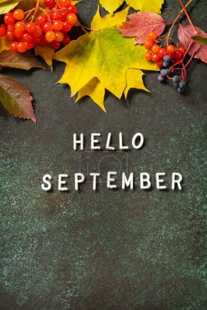 Photo for Hello September text. Autumn composition with colorful leaves and autumn nature berries. Cozy autumn mood. Fall seasons greeting card. - Royalty Free Image