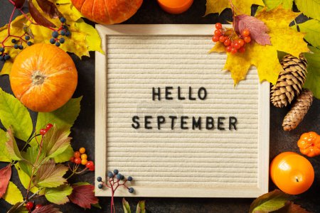Herbst Hintergrund mit Hallo September Buchstaben und Herbst Message Board, Kürbisse und bunte Blätter. Gemütliche Herbststimmung. Grußkarte zum Herbst.
