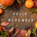 Hello november text, autumn season. Greeting card, fallen leaves, pumpkins and cones on a wooden board. Autumn natural background. View from above