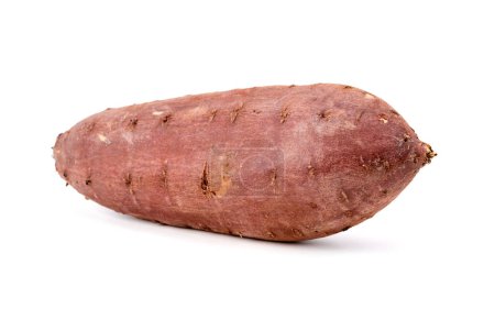 Photo for Fresh Sweet potato, Healthy nutritious food for dieting isolated on white background - Royalty Free Image