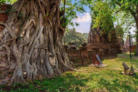 Foto de Buda cabeza en las raíces de un gran árbol de Bodhi en Wat Mahathat los famosos sitios históricos en Ayutthaya, Tailandia - Imagen libre de derechos