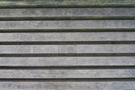 Photo for A wooden bench with moss growing on it - Royalty Free Image