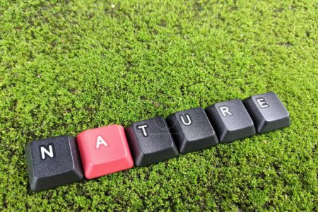 Photo for Keyboard with the word NATURE, on green moss background - Royalty Free Image