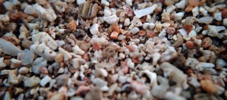 Téléchargez les photos : Gros plan d'une petite pile de sable sur une plage. - en image libre de droit