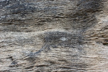 Foto de Imagen de Nice de textura de madera vieja - Imagen libre de derechos