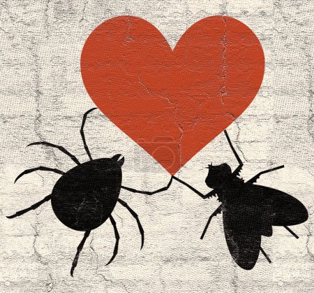 Bonita imagen de amor de insectos