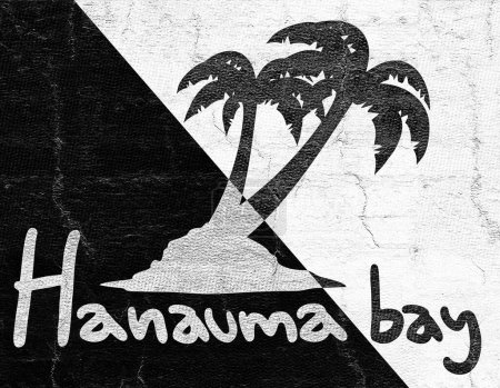 Nice image of Hanauma bay beach icon